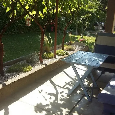 Garden *