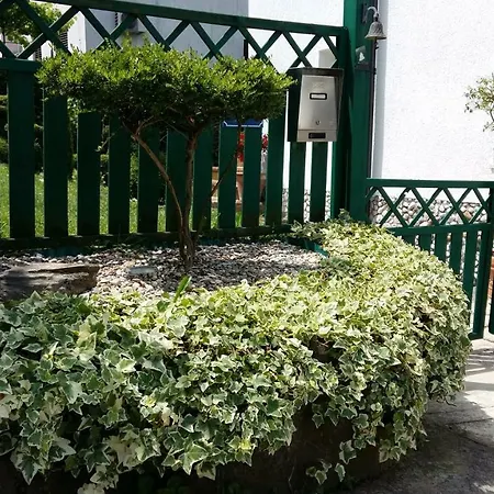Garden Lejlighed *